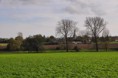 /album/saint-hubert-de-tourinnes-saint-lambert-2014/a67321-10205172410938955-7549710932020491753-n-jpg/