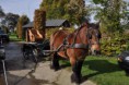 /album/saint-hubert-de-tourinnes-saint-lambert-2014/a68116-10205172401338715-7369675119289743075-n-jpg/