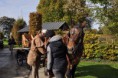 /album/saint-hubert-de-tourinnes-saint-lambert-2014/a397522-10205172399538670-3919793367085585490-n-jpg/