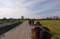 /album/saint-hubert-de-tourinnes-saint-lambert-2014/a10394808-10205172419539170-1775965773733896078-n-jpg/