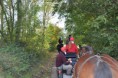 /album/saint-hubert-de-tourinnes-saint-lambert-2014/a10418236-10205172413299014-5730405265577829834-n-jpg/